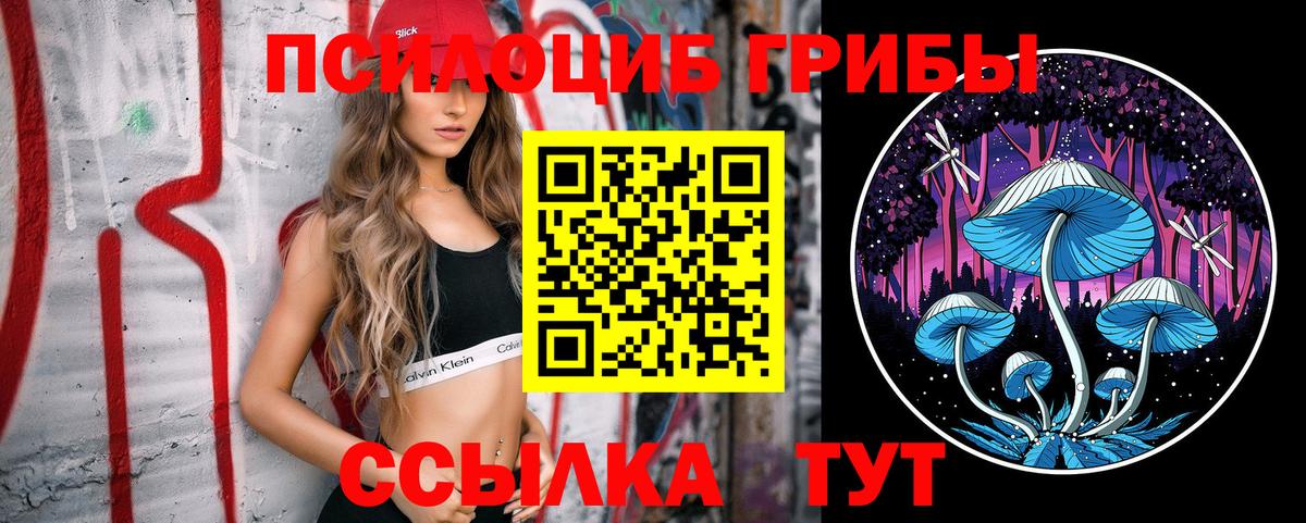 Карталы  Псилоцибиновые грибы мухоморы  Вход с VPN 